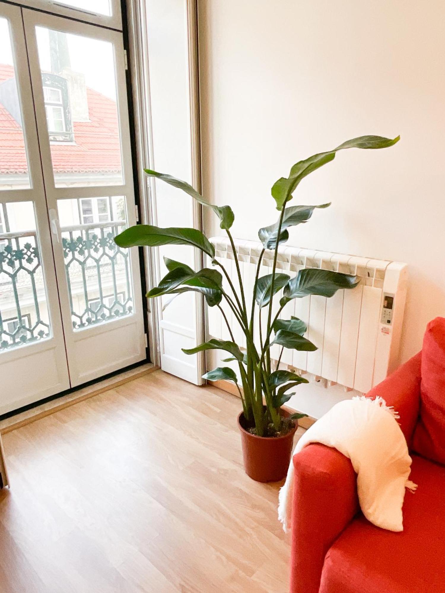 Stunning Luxury In Chiado 1br Appartement *
